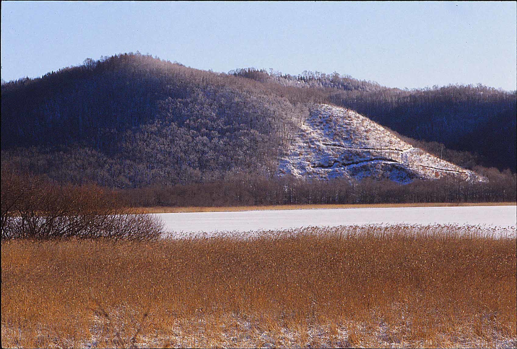 a0322896_05392477.jpg