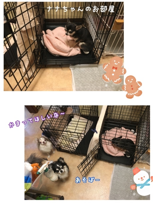 d0269898_12524961.jpeg