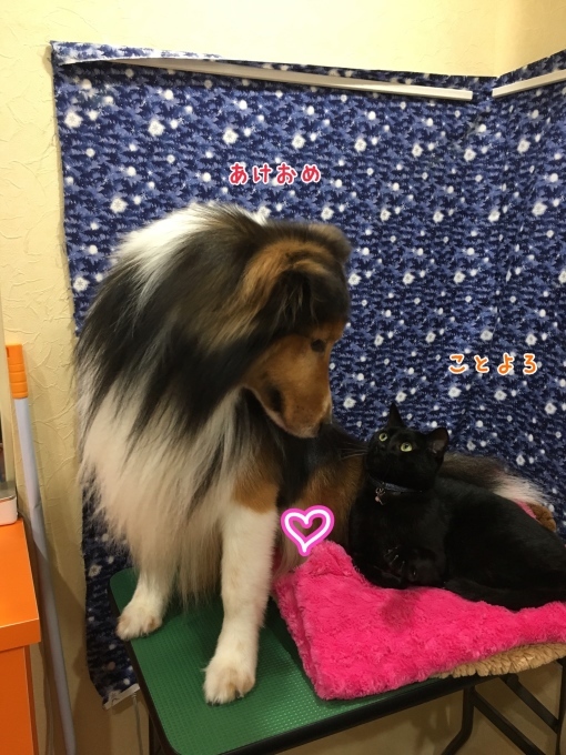 d0269898_12535351.jpeg