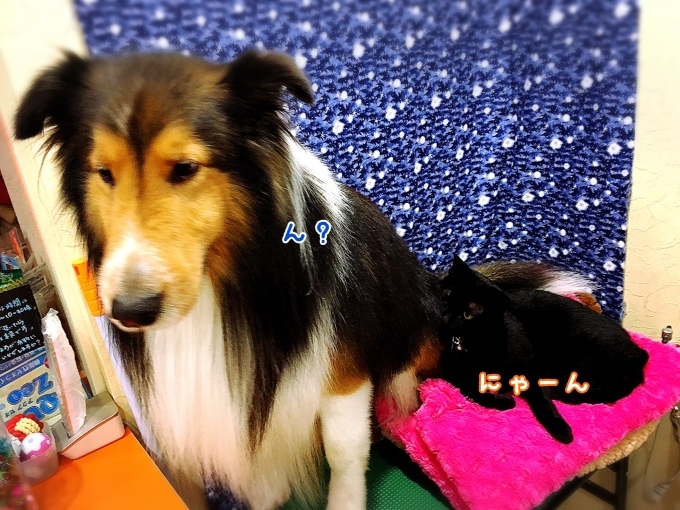 d0269898_12581916.jpeg