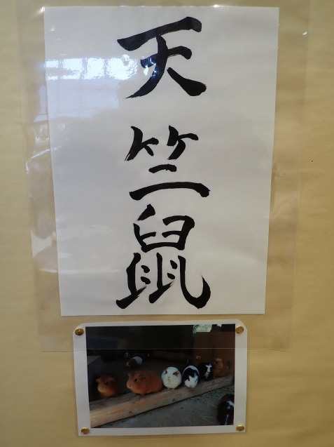 c0290504_13332342.jpg