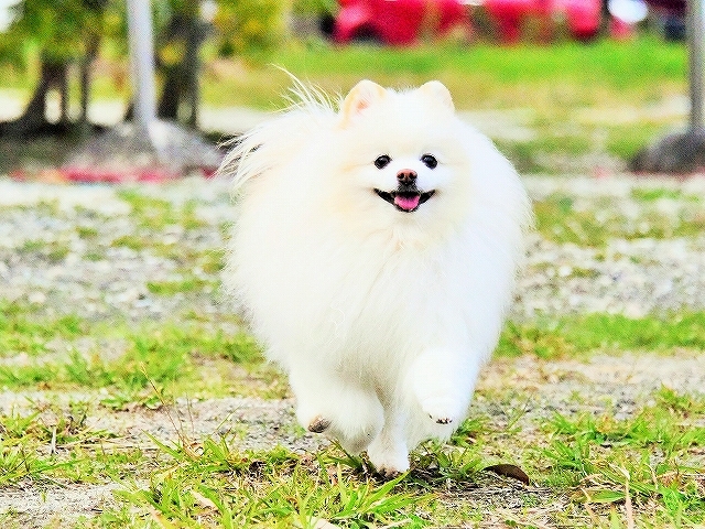 幸先の良いスタート_d0360206_00515135.jpg