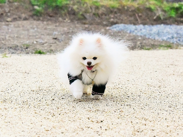 幸先の良いスタート_d0360206_00515805.jpg