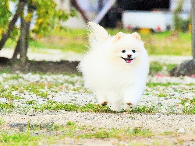 幸先の良いスタート_d0360206_00520758.jpg
