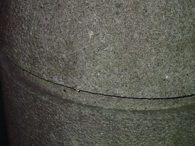 d0251807_07265074.jpg