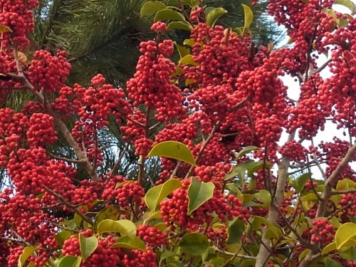 e0360409_17000936.jpg