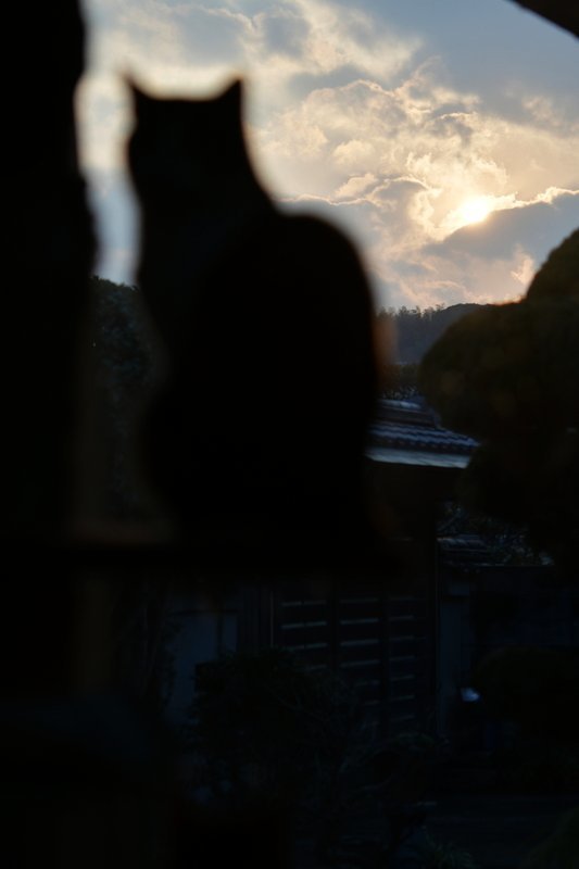 a0190211_17330085.jpg