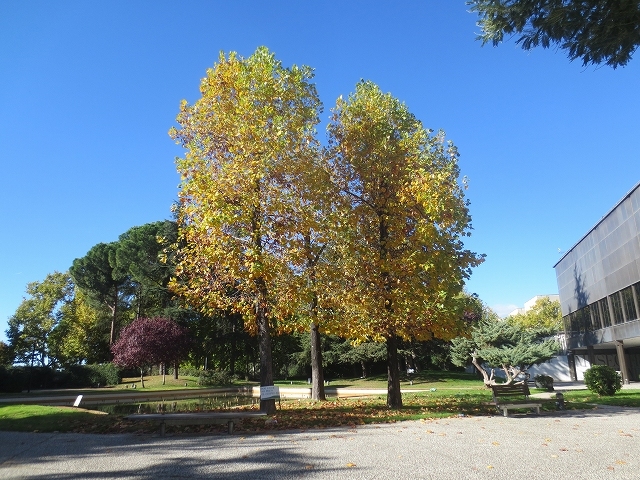 b0064411_01091515.jpg