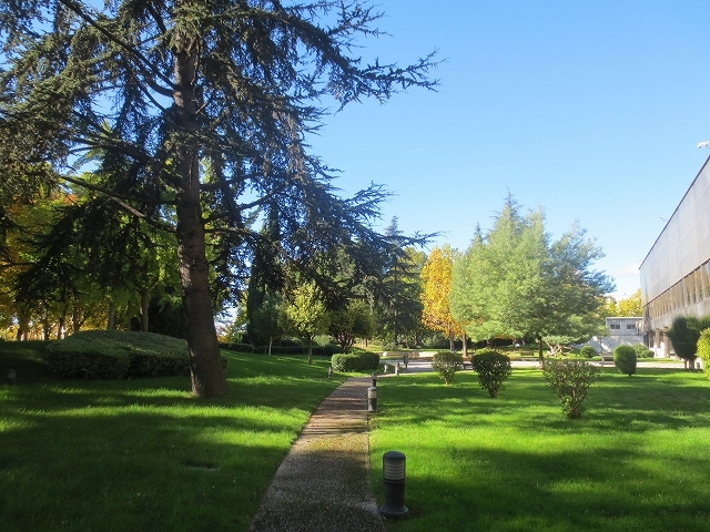 b0064411_01091531.jpg