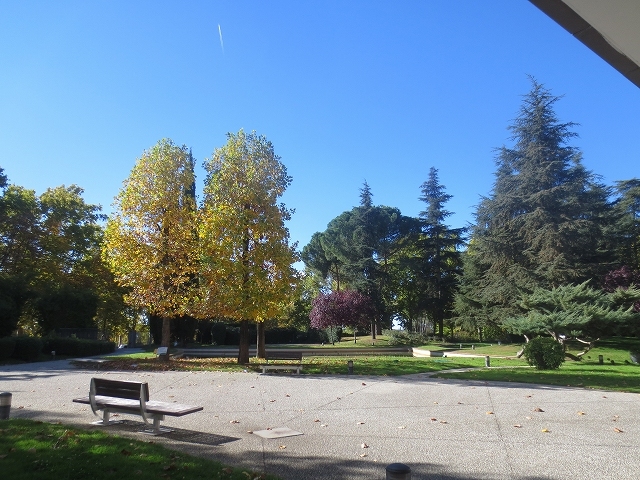 b0064411_01091601.jpg
