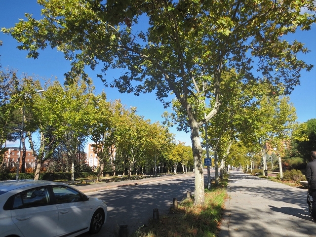 b0064411_01141109.jpg
