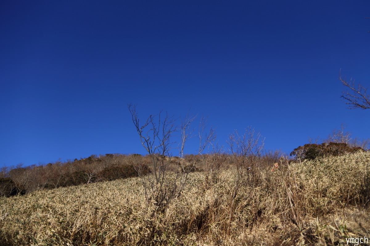 f0157812_14493160.jpg