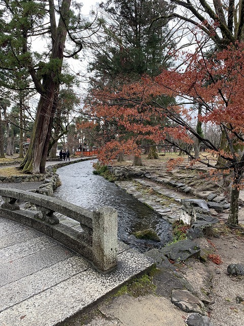 2018年の大晦日に京都でイングレスのミッションをした_a0054016_10520928.jpg