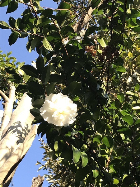 c0054118_22475662.jpg
