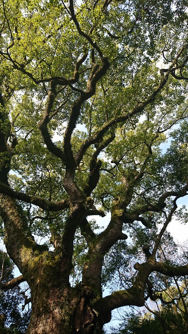 c0382121_17503220.jpg