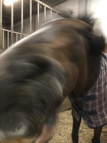 f0161323_18242497.jpeg