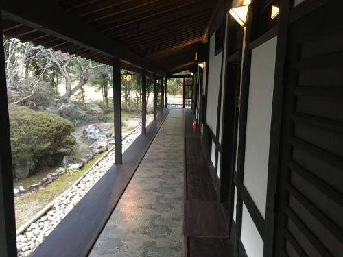 b0004229_17012752.jpeg