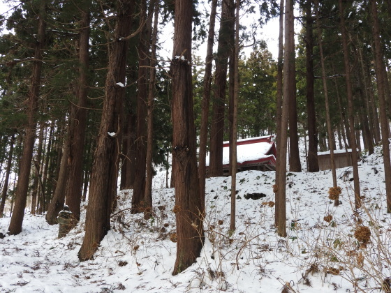 f0118332_01292313.jpg