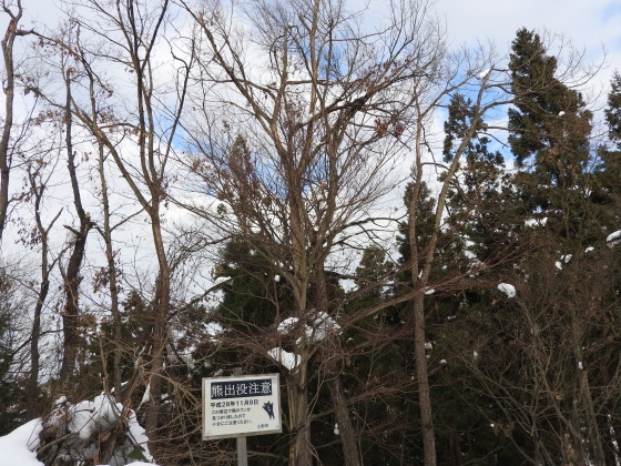 f0118332_01293942.jpg