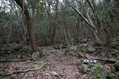 e0272335_15264160.jpg