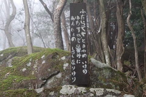 e0272335_15494469.jpg
