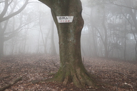 e0272335_1559513.jpg