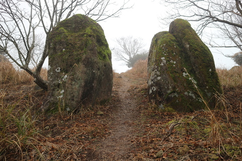 e0272335_16233635.jpg