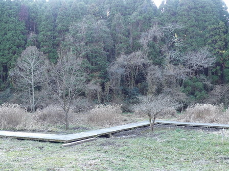 a0123836_17392408.jpg
