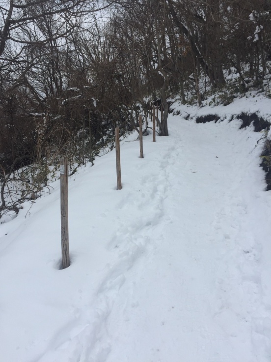 風水最高の龍脈上にあるという虻田神社_a0018237_11024810.jpeg