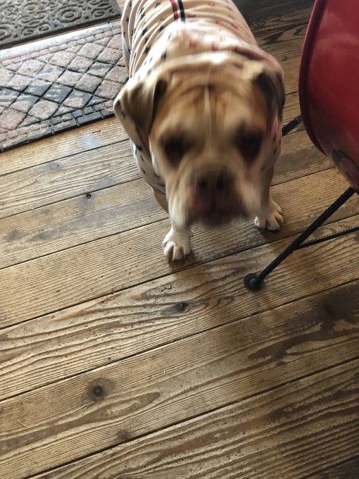 b0369239_17051911.jpeg
