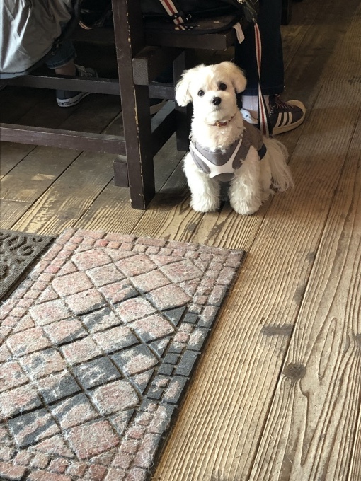 b0369239_17061104.jpeg