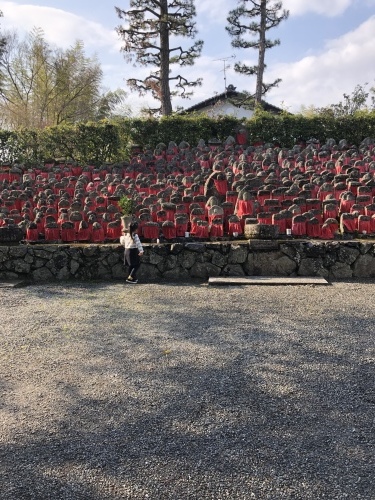d0282139_15250948.jpeg