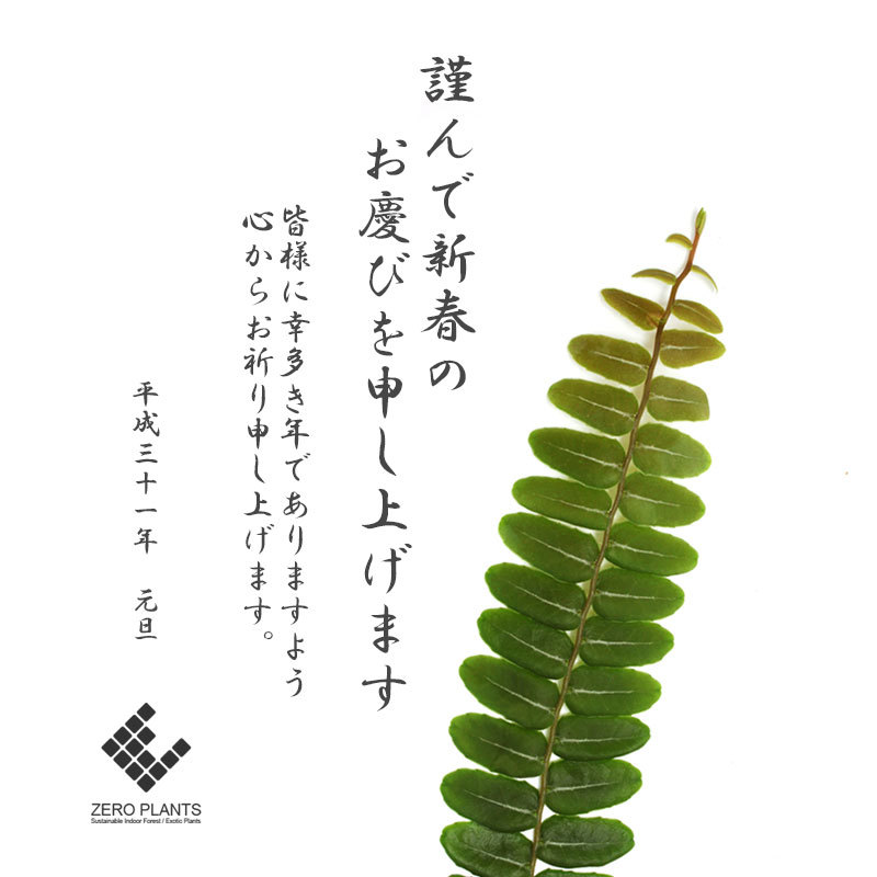 新年のごあいさつ。_d0376039_17340173.jpg