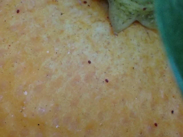 d0378939_20013860.jpg