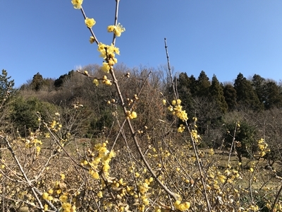 b0120541_22485848.jpg