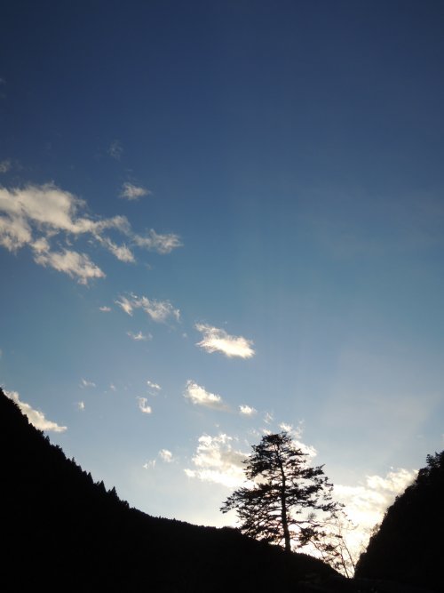 d0142944_12211127.jpg