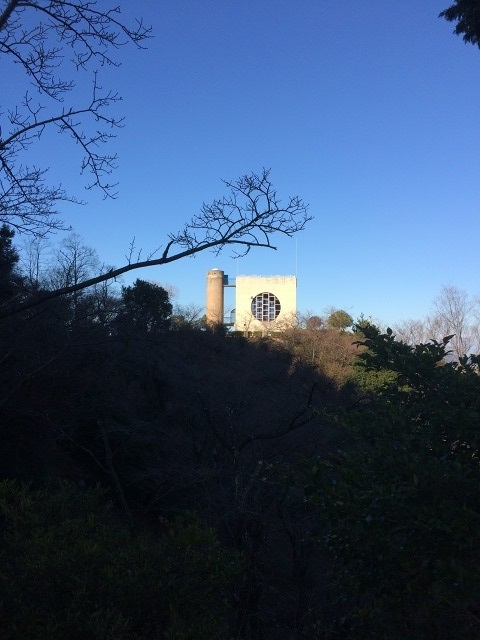 最近のぼく_e0130546_11534049.jpg
