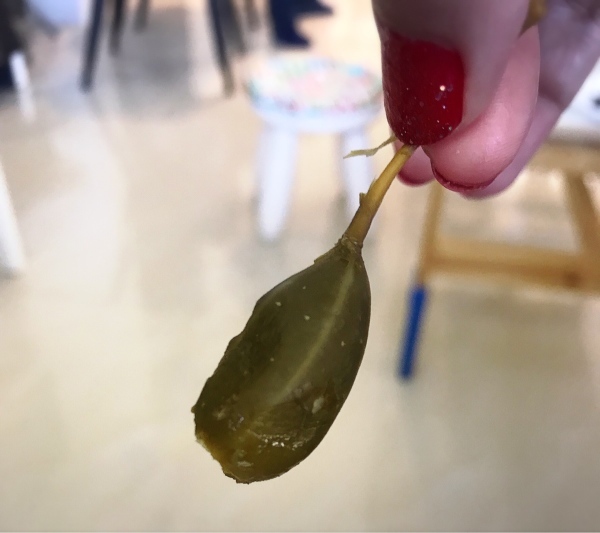 f0304452_22242155.jpeg