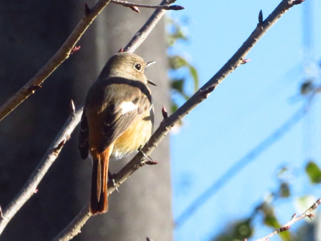 a0018655_09055246.jpg