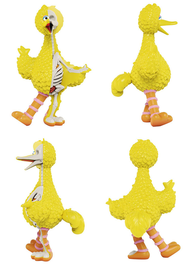 Sesame Street - Anatomical Big Bird by Jason Freeny_e0118156_09365028.jpg