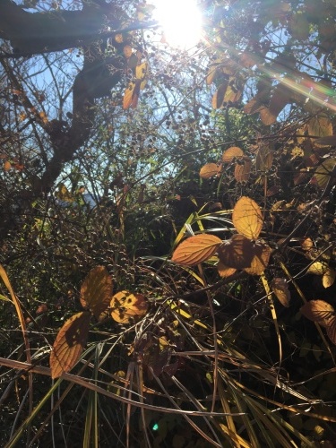 c0248467_06440767.jpeg