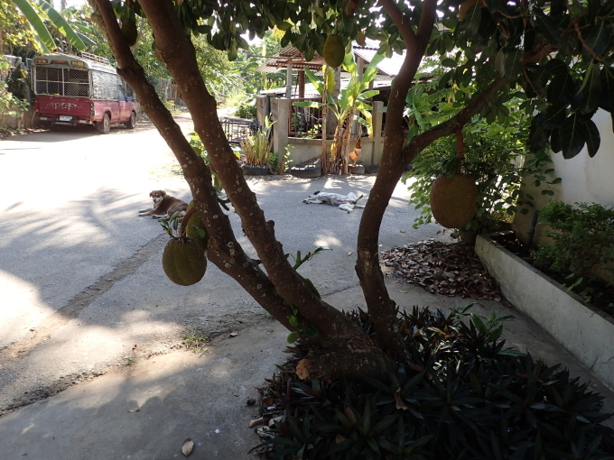 c0286574_01113301.jpeg