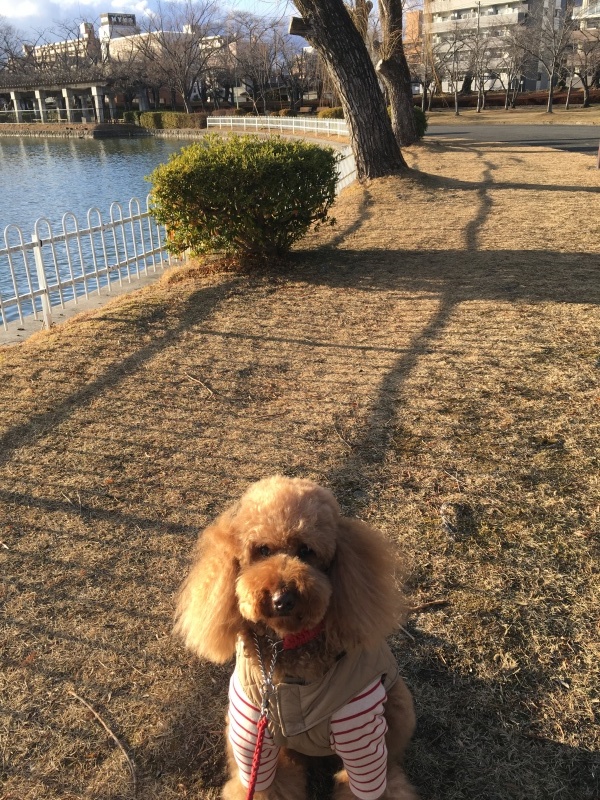 c0283778_14564250.jpeg