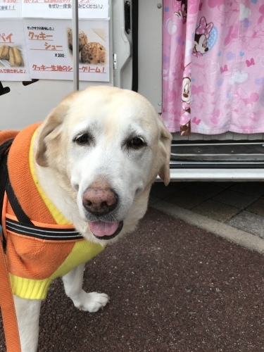f0315081_20371647.jpeg
