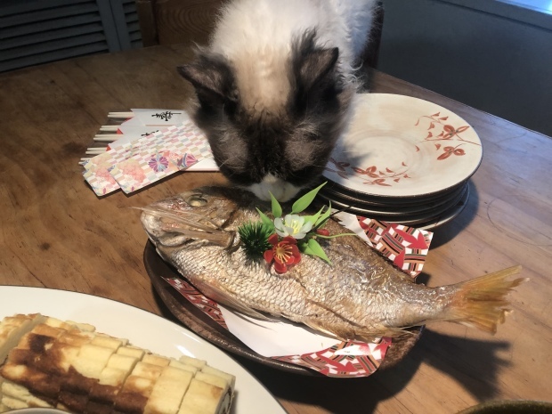 b0377882_21192963.jpeg