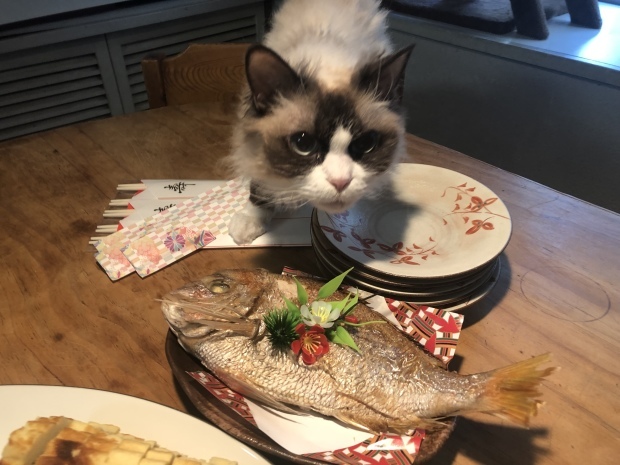 b0377882_21200217.jpeg