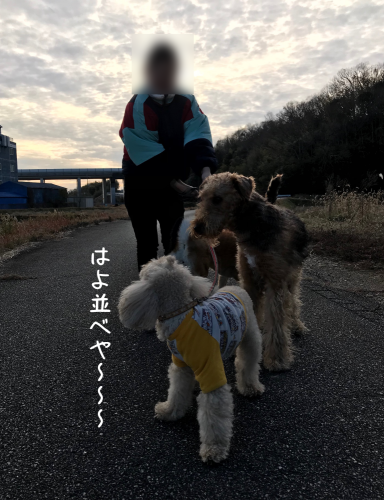 a0216583_18120378.png