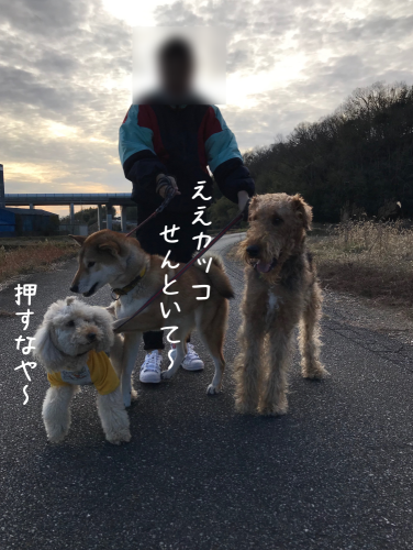 a0216583_18125871.png