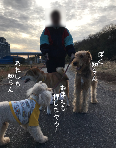 a0216583_18130660.png
