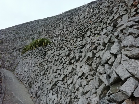 c0212083_19442079.jpg